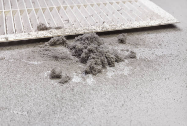 Best Local Air Duct Cleaning Services  in Springdale, SC