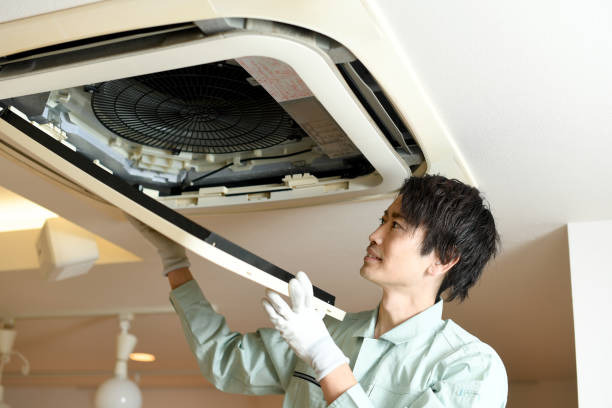 Best Air Duct Sanitizing Services  in Springdale, SC