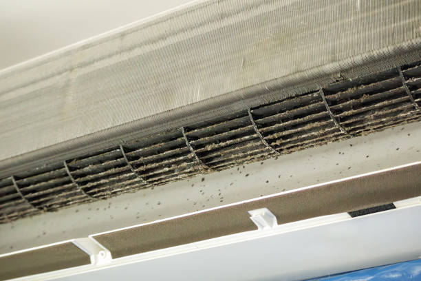 Best Local Air Duct Cleaning Services  in Springdale, SC